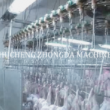 CHICKEN SLAUGHTER AND ABATTOIR MACHINE EQUIPMENT thumbnail-3