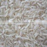 Rice thumbnail-1