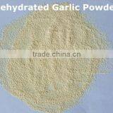 Dehydrated Ginger Powder thumbnail-1