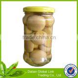 Mushroom in Tin thumbnail-4