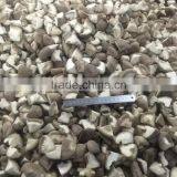 Frozen Shitake Mushroom thumbnail-2