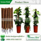 Garde Plant Support (Coco Fiber Pole) thumbnail-1