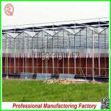 Agricultural Large Size/span Glass Greenhouses for Potatoes/tomatoes thumbnail-2