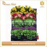 Vertical Green Wall System and Vertical Garden Modules for Vertical Hydroponic Systems thumbnail-2