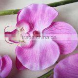 Silk Butterfly Orchid Artificial Decorative Butterfly Orchid Flowers for Wholesale thumbnail-5