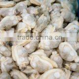 IQF BABY CLAM MEAT IN BULK thumbnail-1