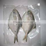 Seafood Fish Suppliers thumbnail-1