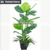 Artificial Indoor Plants and Trees for Home and Garden Decoration Evergreen Ornamental Plants thumbnail-4