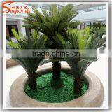 Guangzhou Supplier Wholesale Artificial Cycas Revoluta Tree Bonsai Fake Cycas Revoluta