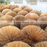 BAMBOO STICKS thumbnail-1