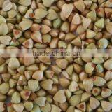 2014 Crop High Organic Buckwheat thumbnail-1