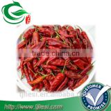 supply chili peppers for pungent spice