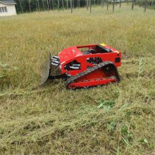 Remote controlled lawn mower with best price in China