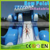 New Point Inflatable Slides for Summer,branded Color Inflatable Slide,inflatable Slides for Kids