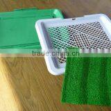 Plastic Cheap and Popular Puppy Potty Pad thumbnail-2