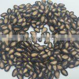 New Crop Chinese Watermelon Seeds Sale thumbnail-3