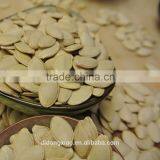 Shine Skin Pumpkin Seeeds thumbnail-4