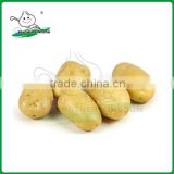 Holland Seed Potato /chinese fresh potatoes /Fresh Potato
