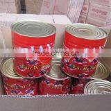 3000gram Canned Tomato Paste thumbnail-1