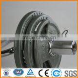 Painting Olympic Weight Plate thumbnail-1