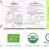 Fresh Organic Tea Cetificated Slim Fit Tea thumbnail-4