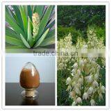 Competitive Price 20% 30% Sarsaponin Yucca Schidigera Extract