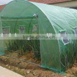 Agriculture Tunnel Arch Garden Vegetable Greenhouse(pe)