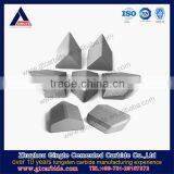 Zhuzhou Gingte Offer TBM Shield Cutter With Custom-made Service