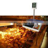 Price Computing Scale