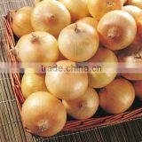 Red Onion thumbnail-3