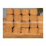 Straw hay bale, wheat hay bale, hay straw bale, wheat straw hay, cattle feed straw