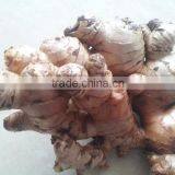 Fresh Ginger 100g-150g-200g-250g thumbnail-2