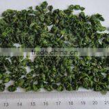 Dehydrated Green Beans 2012 thumbnail-1