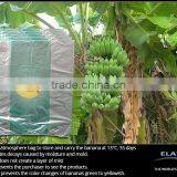 Banana Bag thumbnail-1