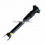 A2513200631 Mercedes W251 Rear Shock Absorber thumbnail-1