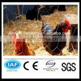 Hexagonal Wire Netting Chicken Wire Mesh thumbnail-1