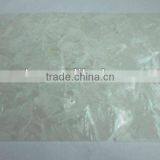 Irregular Triangle White Lip Mother of Pearl Shell Veneer