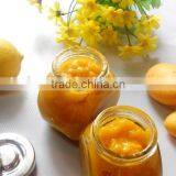 Microwave Vacuum Dryer for Mango Sauce thumbnail-4
