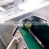 Fruit Vegetable Chinese Cabbage Half Cutting Machine Cutter thumbnail-2