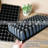 72 Cell 88mm Deep Root PS Type Plastic Nursery Seedling Germination Tray for Sugarcane Seed Propagation thumbnail-4