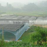 Muilti-span Film Greenhouse for Vegetable thumbnail-1