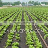 pe Pipe for Irrigation Diameter 16mm-110mm Good Material High Quality Cheap Price Manufacturer of Pipe thumbnail-3