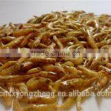 Dried /Canned Shrimps For Cat Food