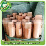 High Quality Varnished Wooden Handle for Broom With Italian Thread thumbnail-1