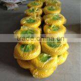 PU Foam Wheel 480/400-8 thumbnail-3