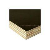 Film Faced Shutter Plywood thumbnail-2