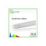 10W 2ft T8 LED Tube CRI 80 , LED Glass Tube Integrated Batten Fitting