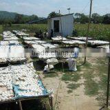 Lost Horizon International Handicraft Industry Pvt. Ltd. company overview - view 3 thumbnail