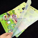 Colorful Transparent Plastic a4 File Folder