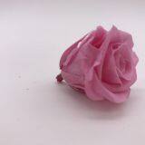 Wholesale3-4cm Elegant Real Touch Preserved Rose Flower thumbnail-3